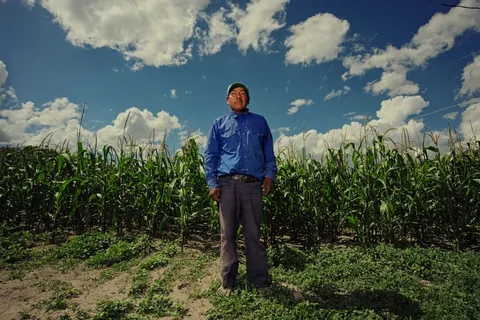 Farmer standing in front of a cornfield under a blue sky in Mexico