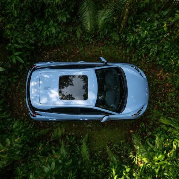 Aerial drone shot of a car parked in the jungle